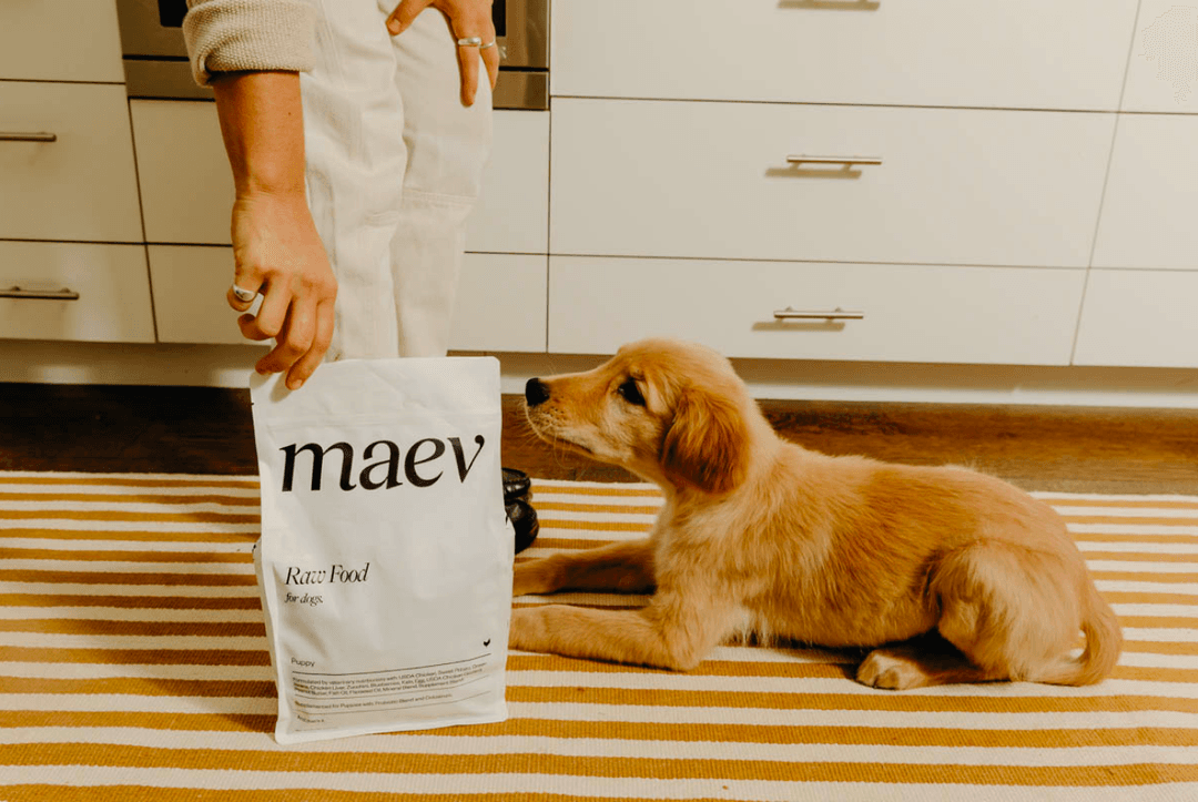 Compare Dog Food Ingredients Maev compare-dog-food-ingredients-maev