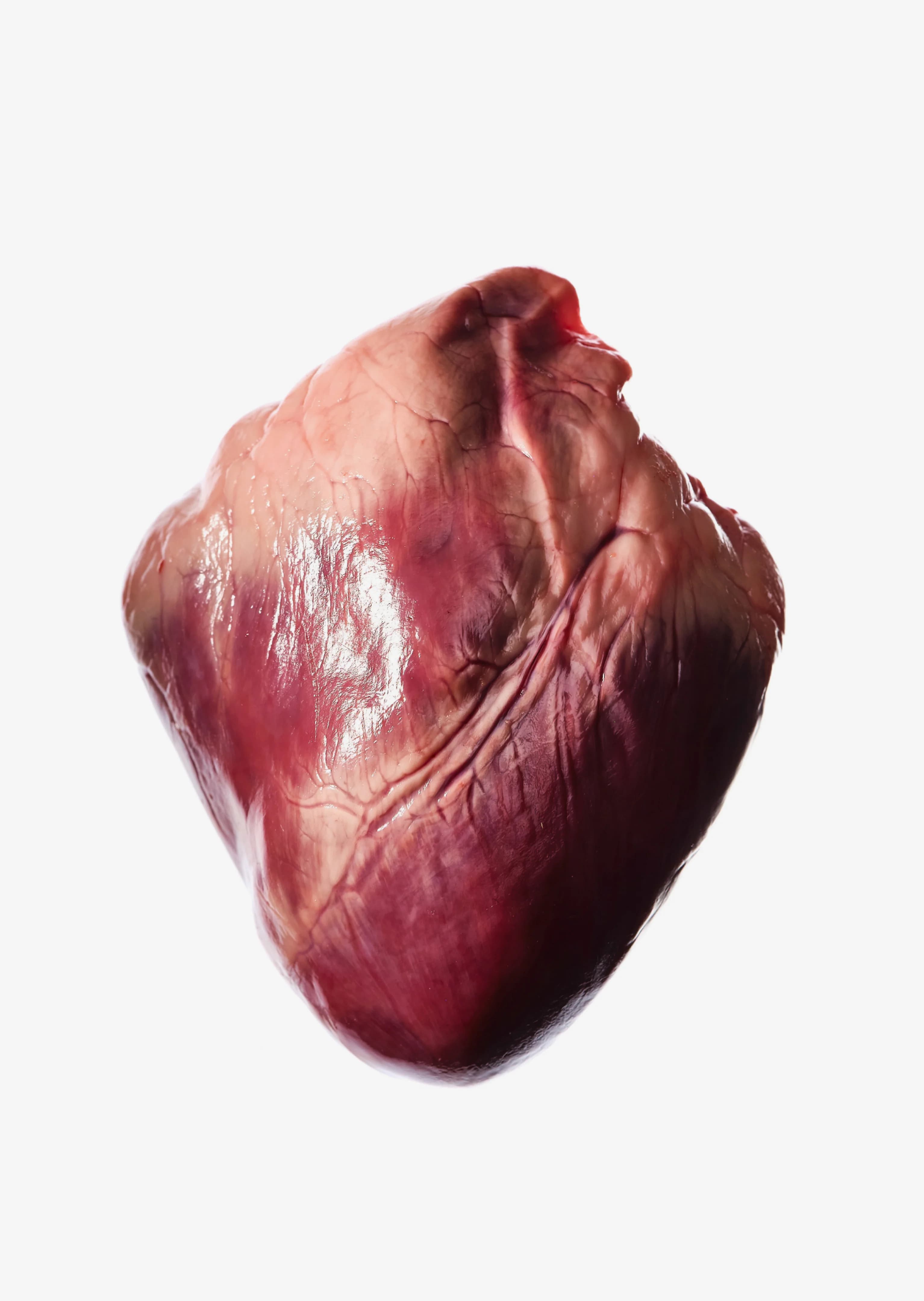 Grass Fed New Zealand Lamb Heart