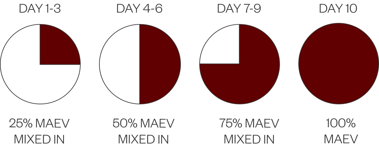 Transition guide