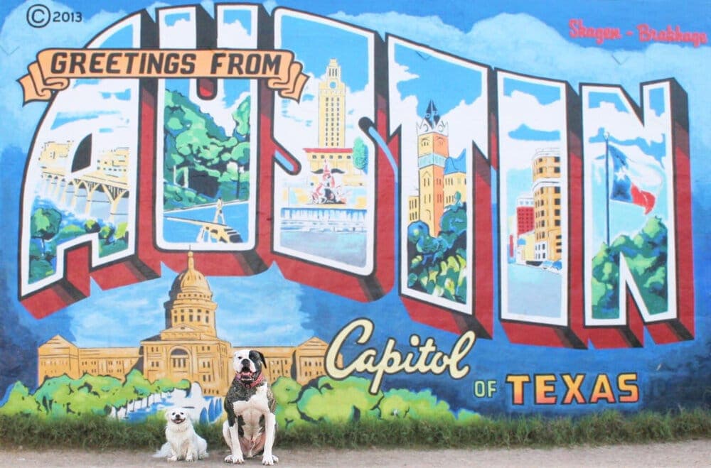 Austin_Dog_mural.jpg